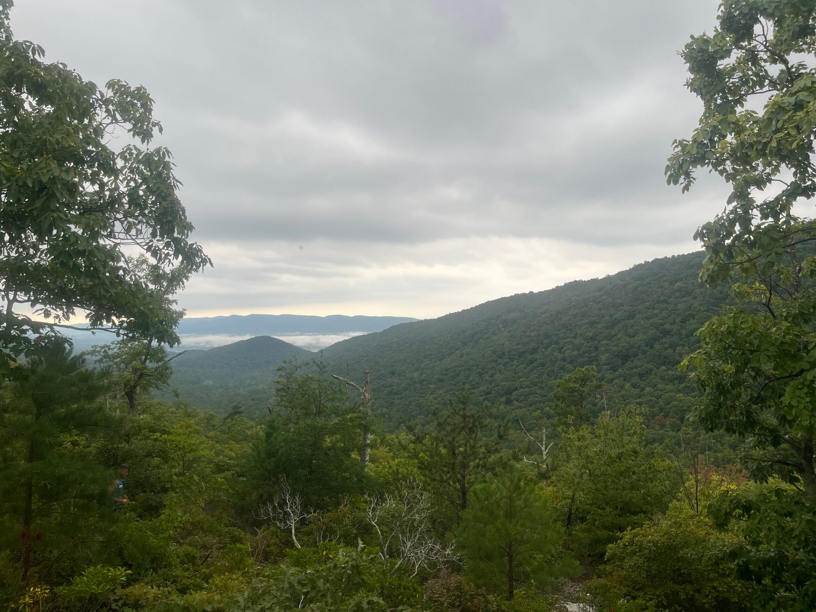 View from the Orange Trail descending into Veach