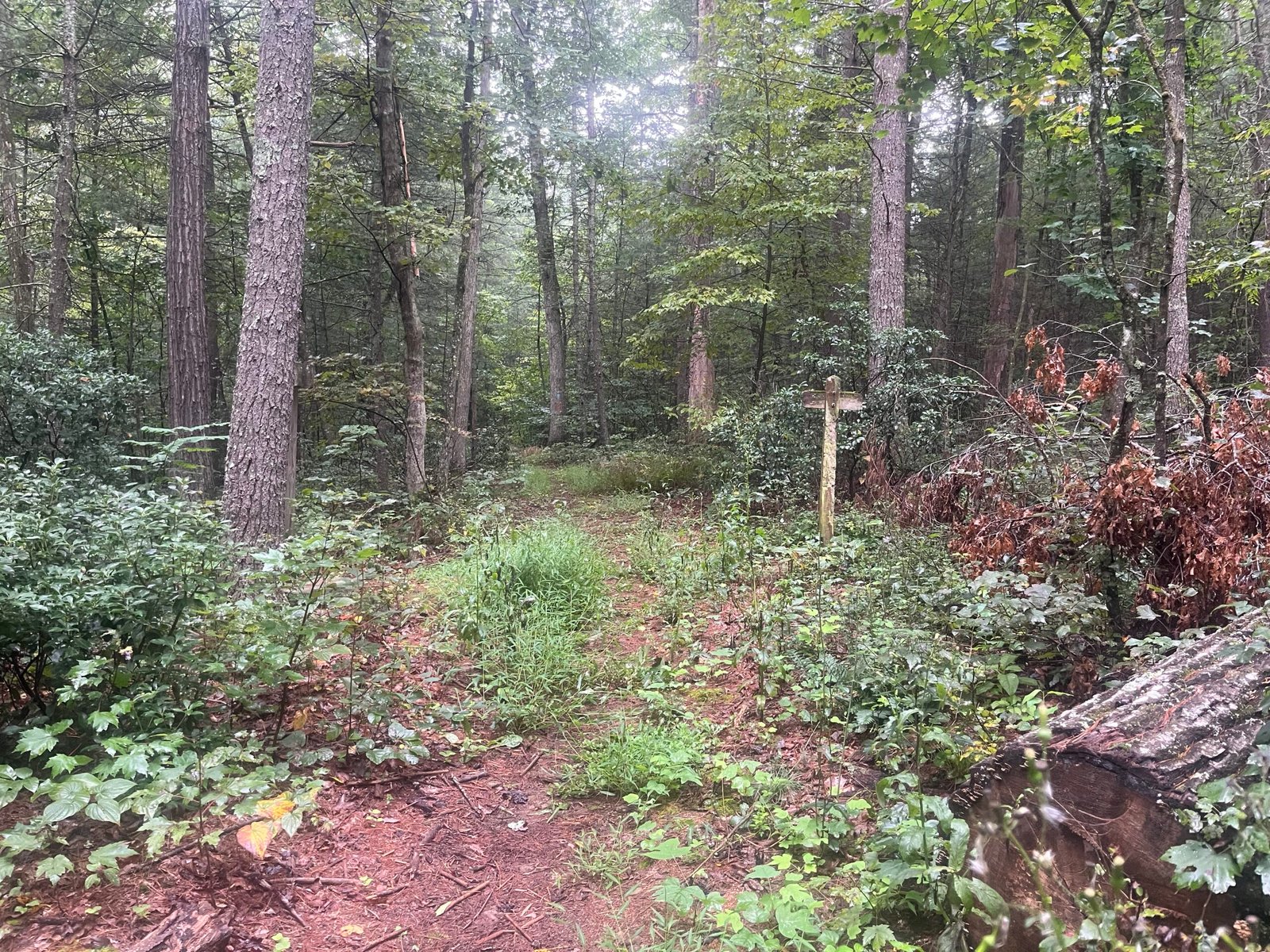 2026 The Ring Photo Album Trail Junction