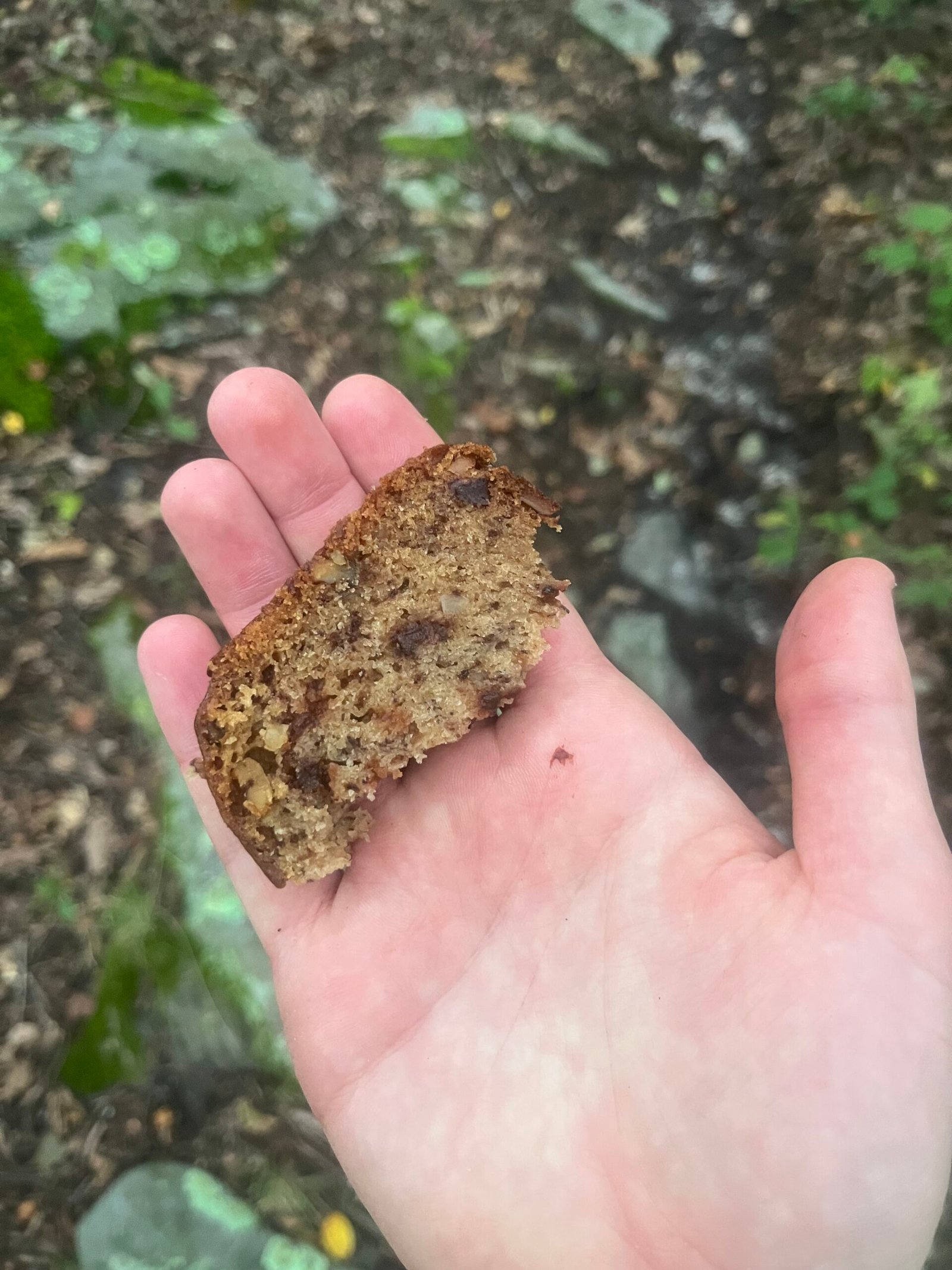 Banana Bread from Mildford Gap