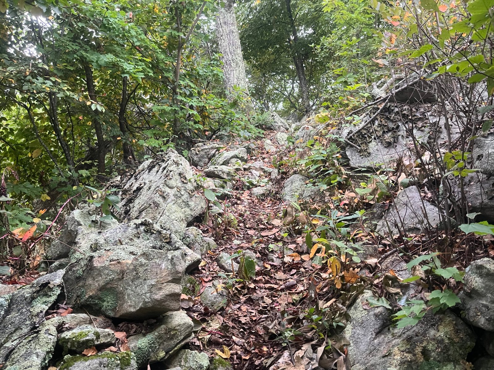 Rocky technical trail