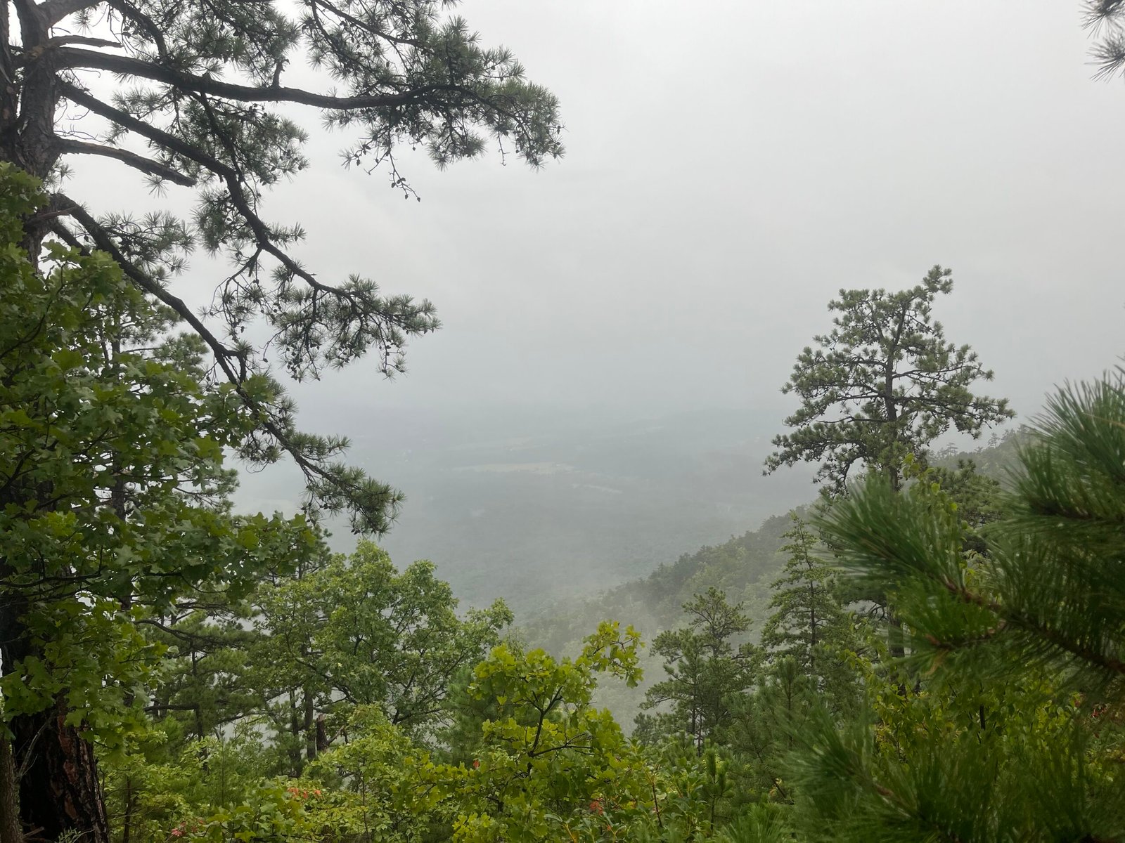 2026 The Ring Photo Album Heavy mist after the first storm of the day