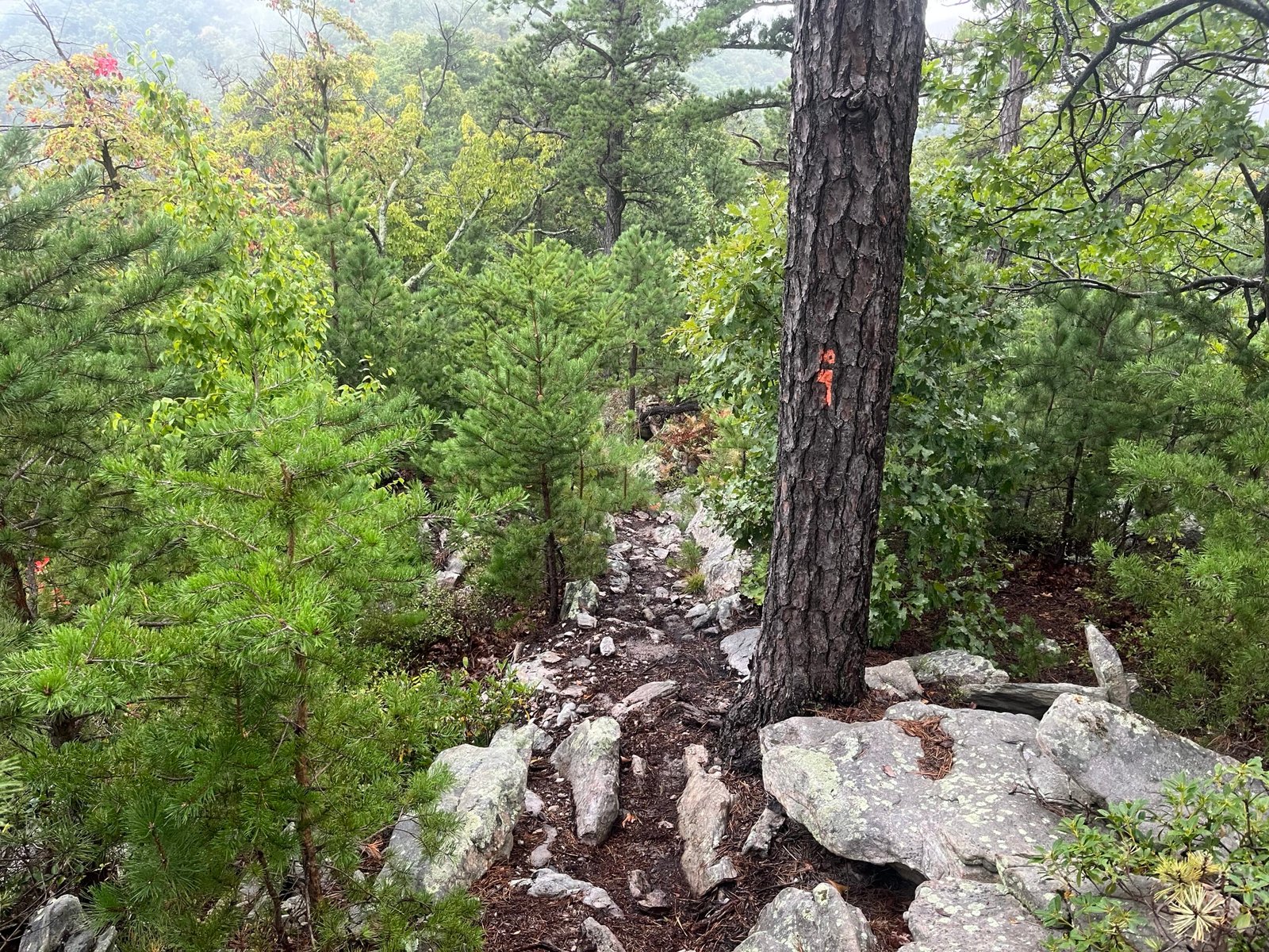 Orange Trail rocks