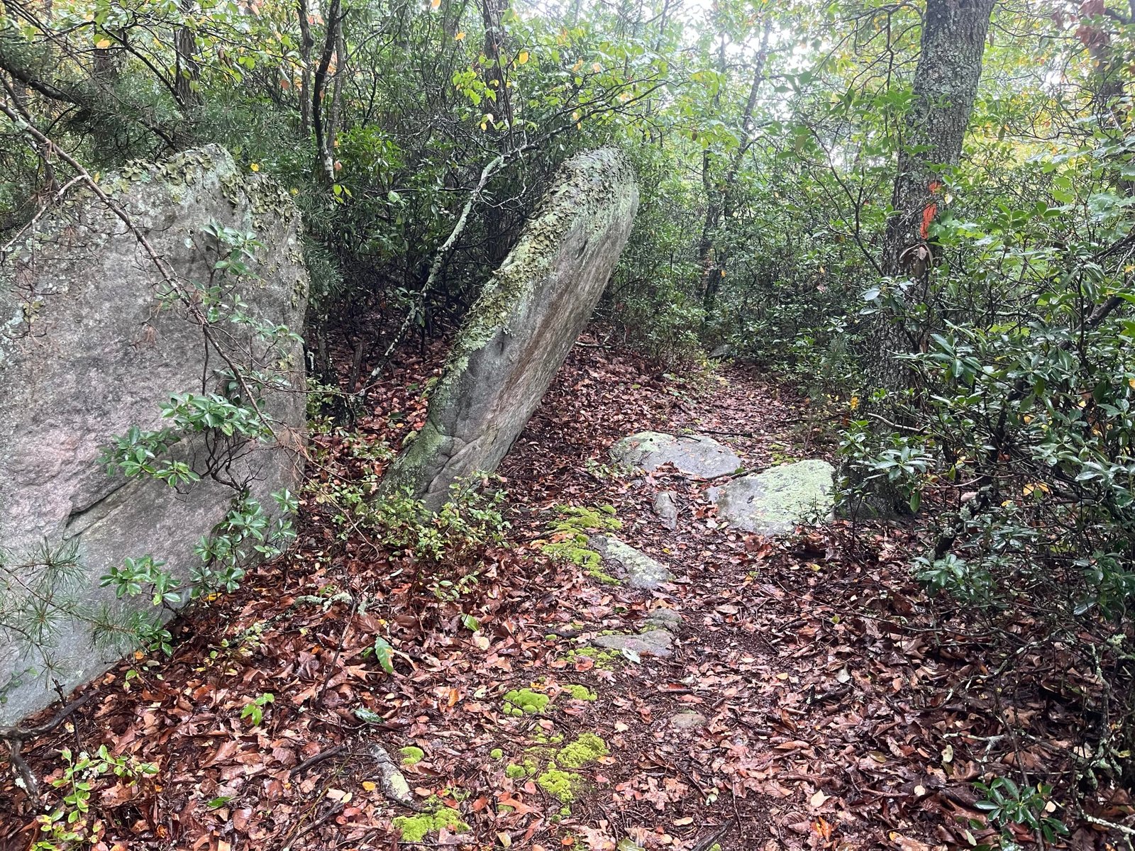 2026 The Ring Photo Album Cool rock formation