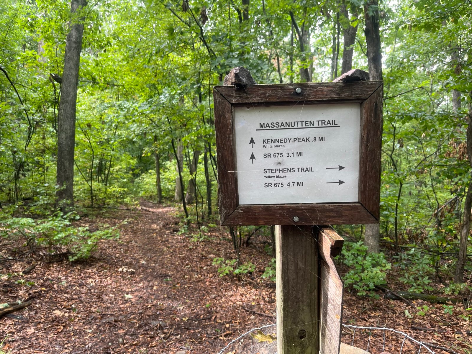 2026 The Ring Photo Album Trail sign