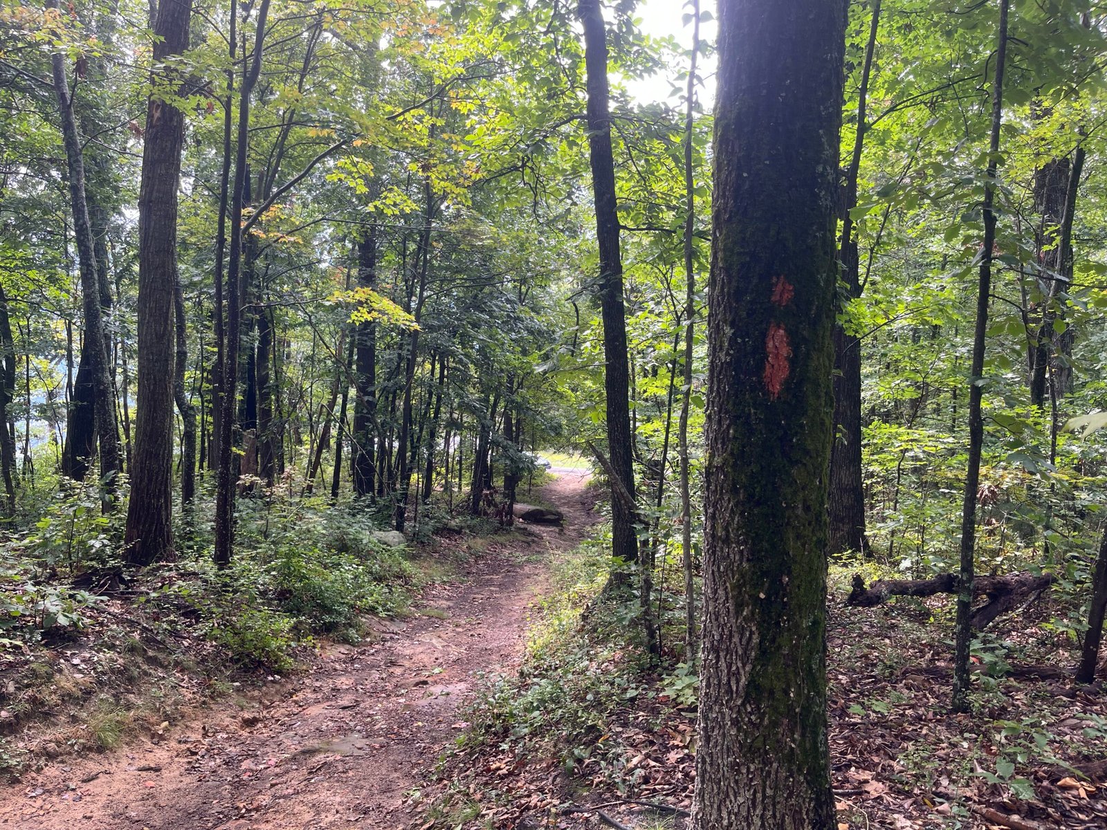 The end of the first trail section (around mile 24)