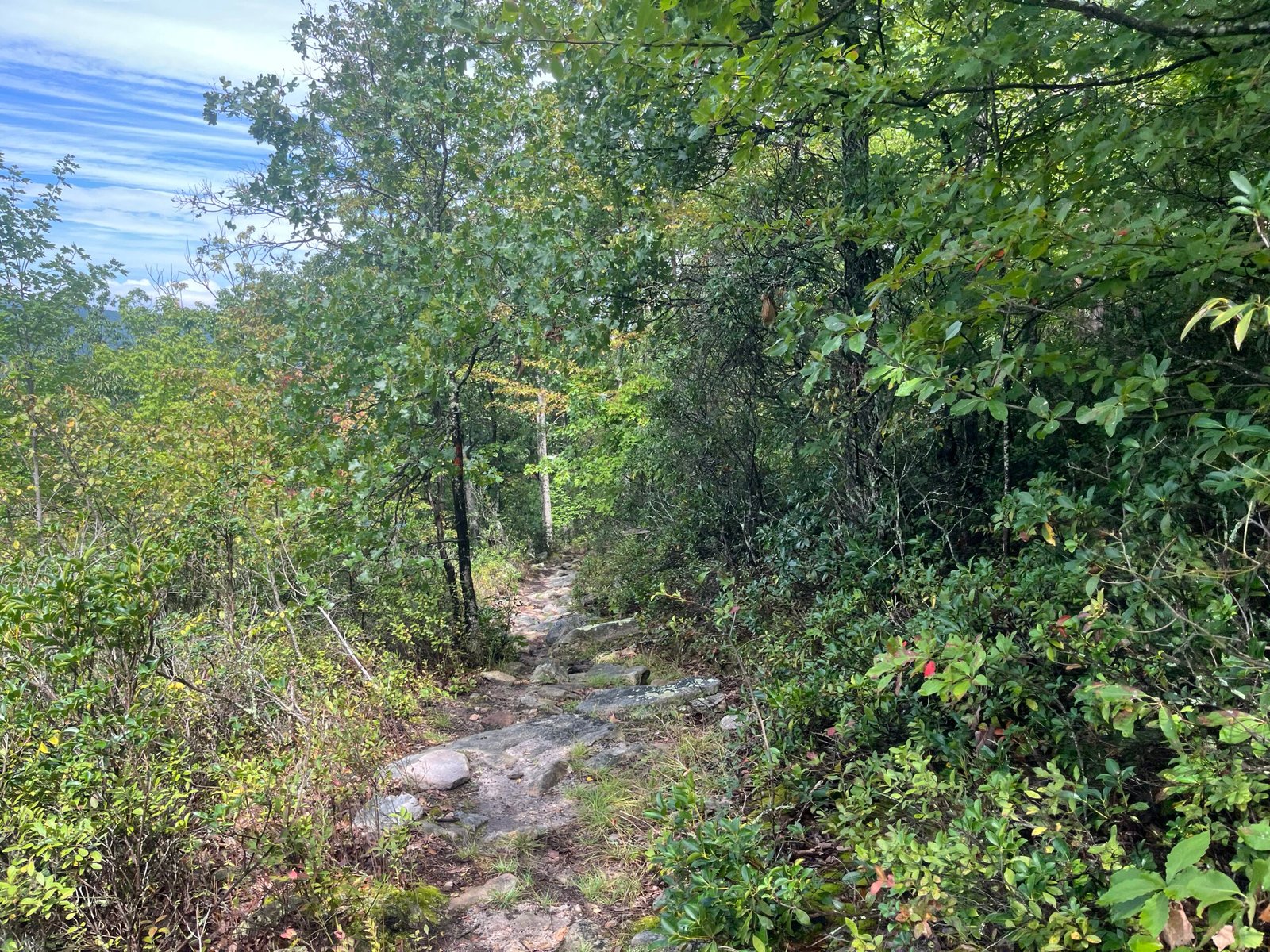 Orange Trail descent to the Horse Lot