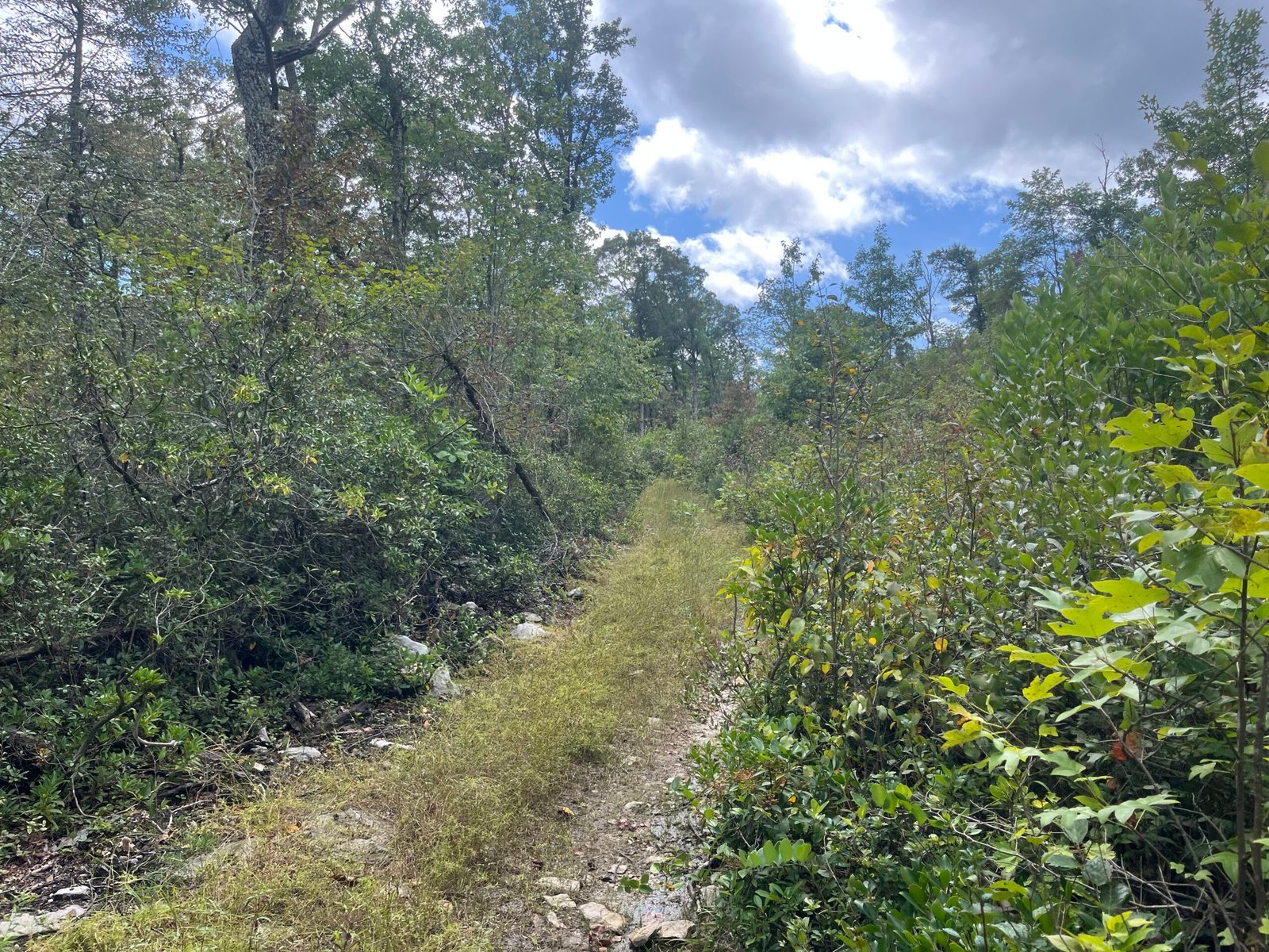 Duncan Hollow Trail part two