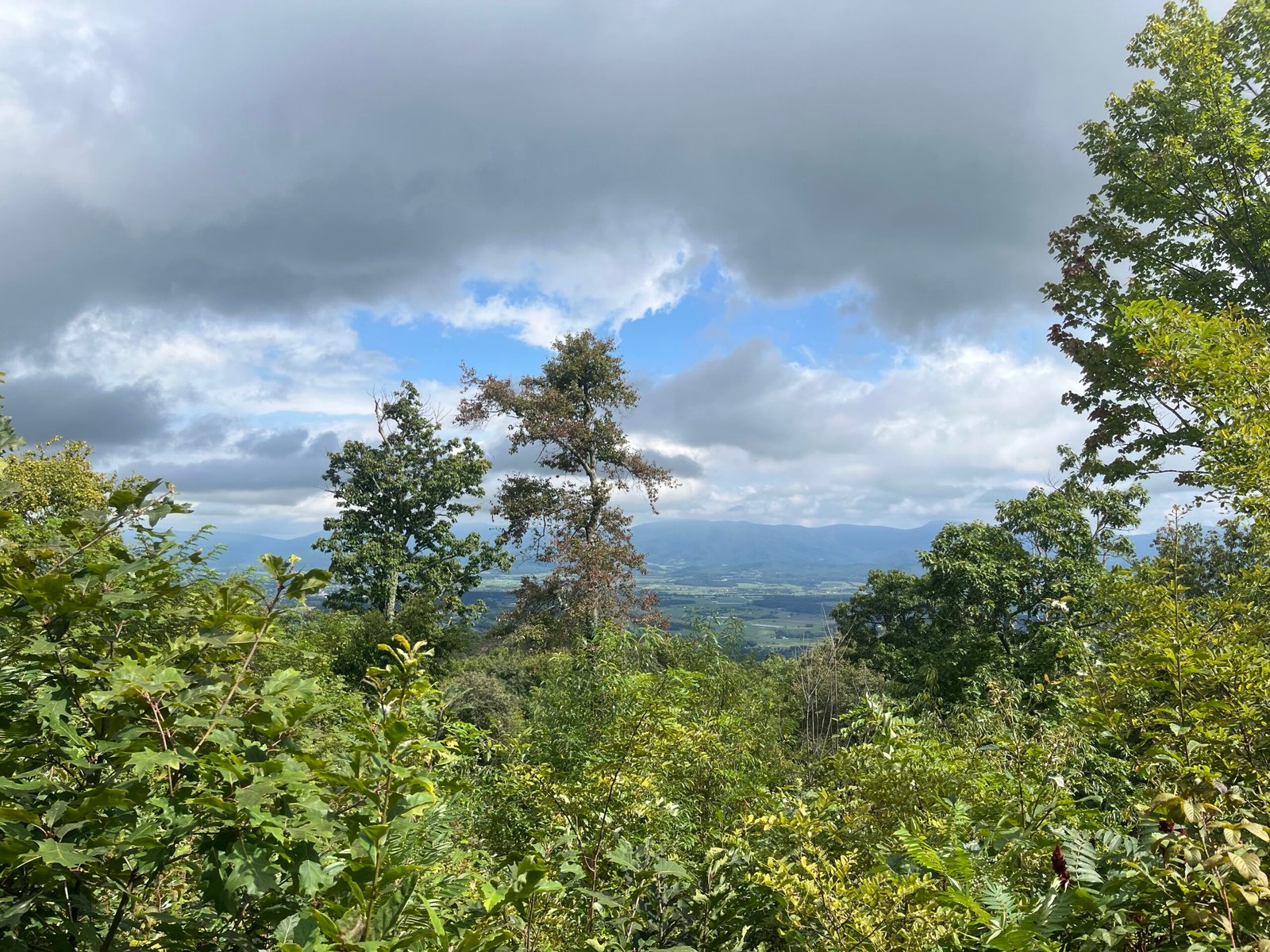 View point at the top of Duncan Hollow