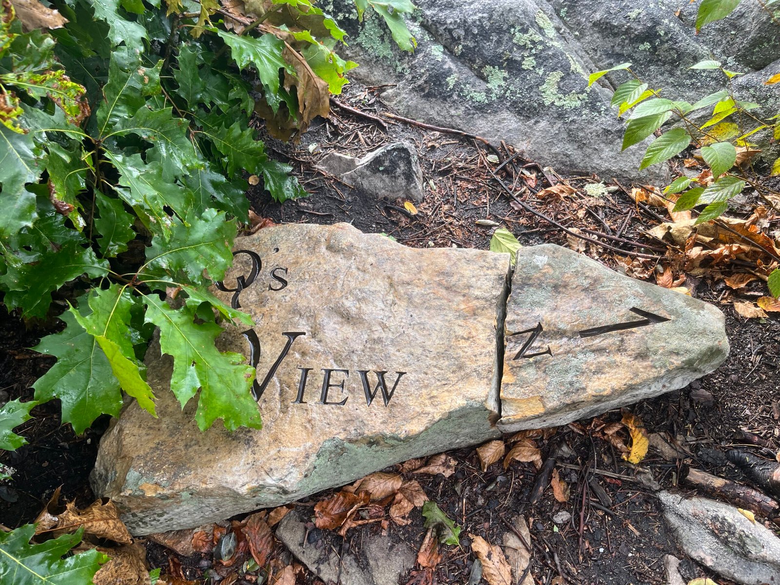 The famous "Qs View" marker