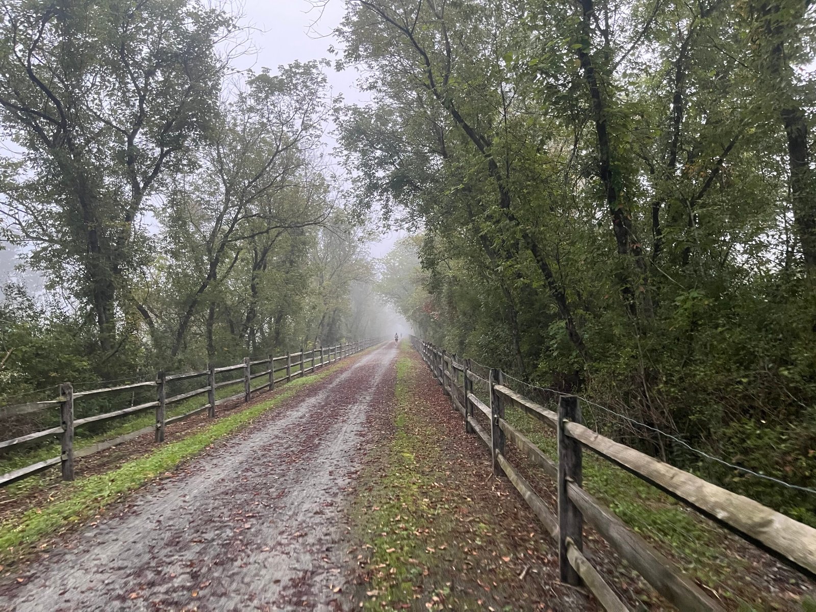 Photo of the Pine Creek trail on the first outbound section