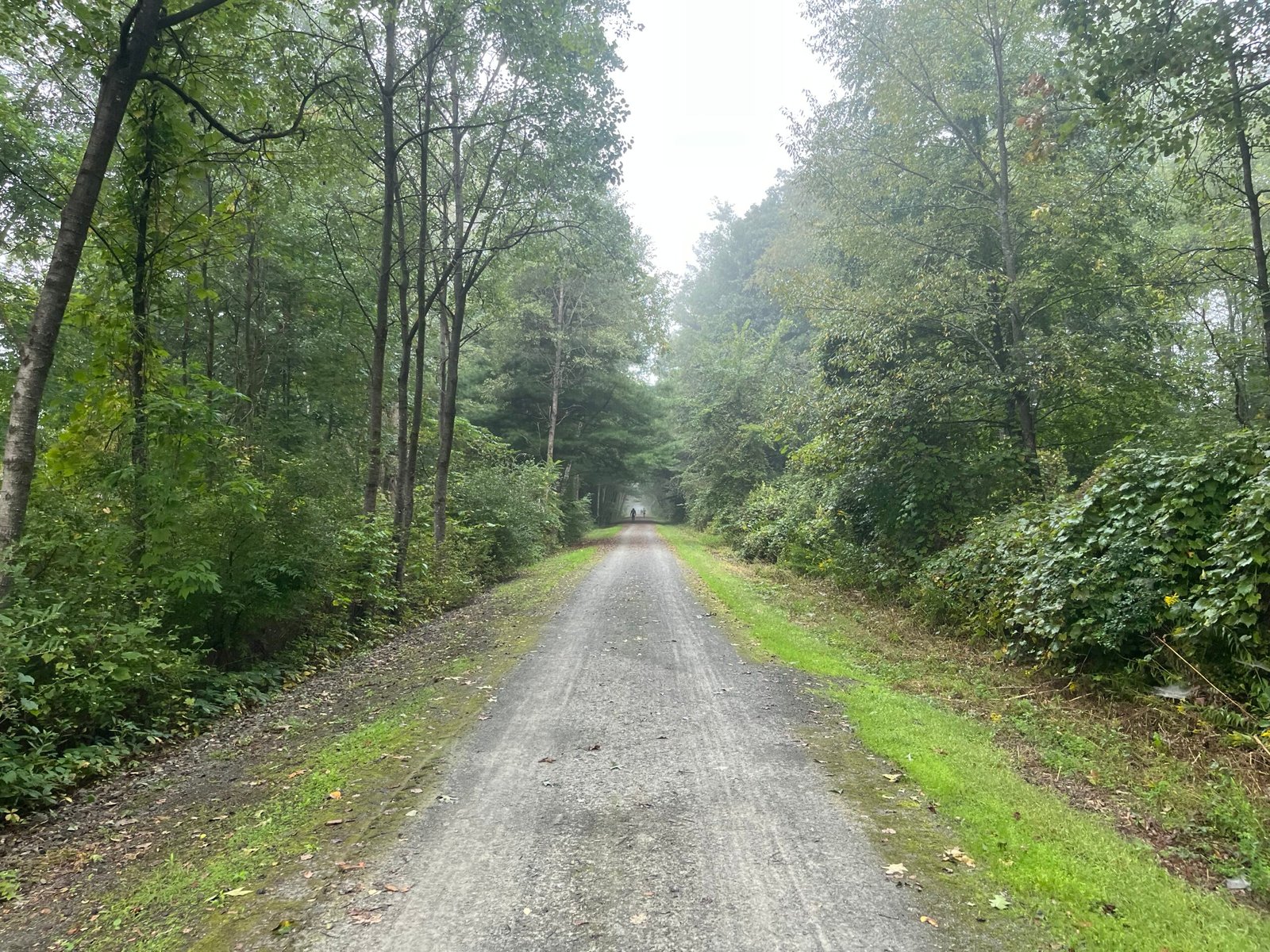 A second Pine Creek trail photo