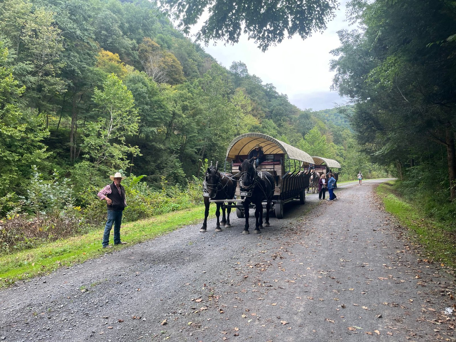 Ye Ole' Covered Wagon Horses