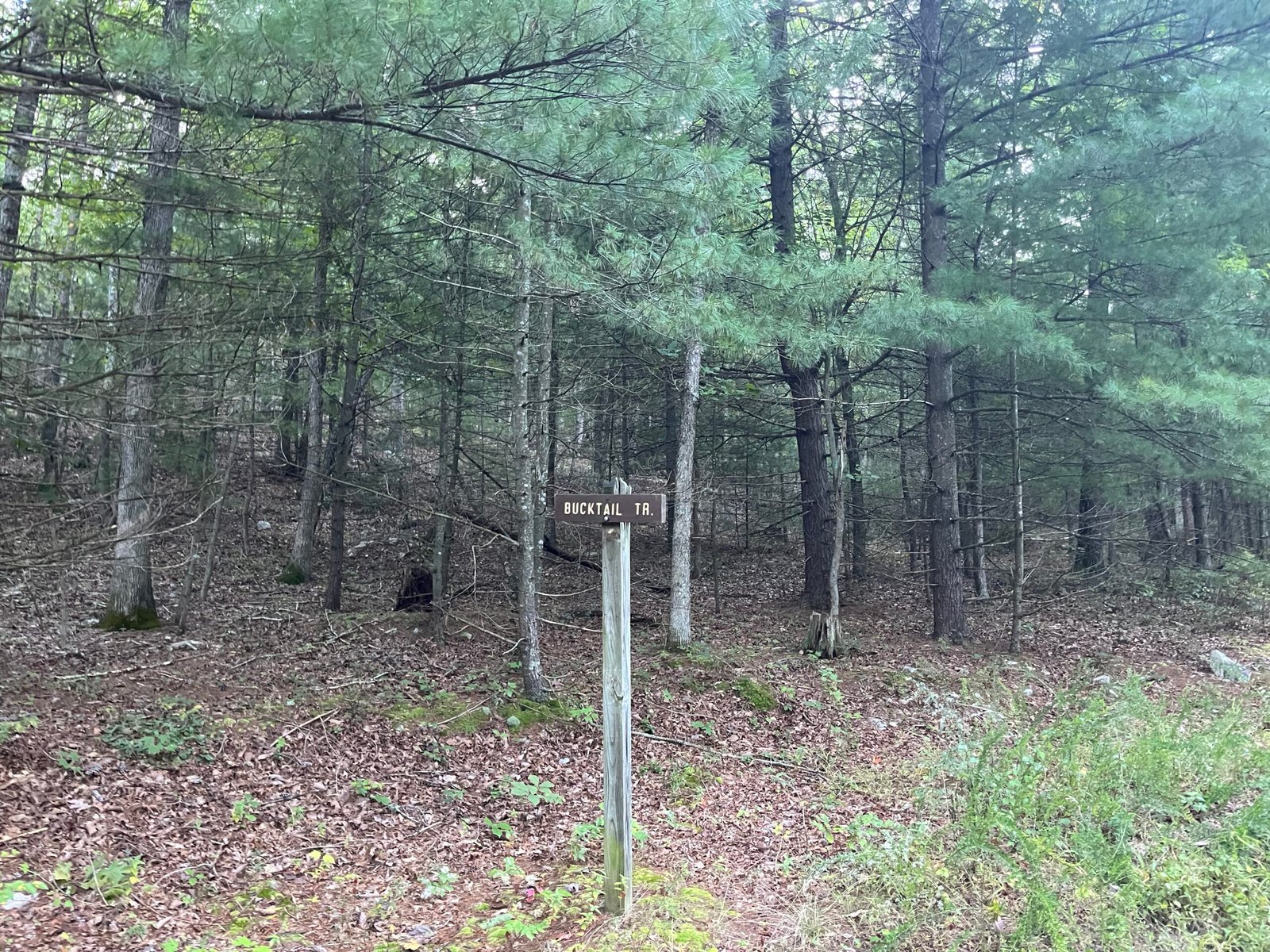Trail Sign at the Big Schloss Aid Station